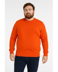 Maglia Girocollo Basic Uomo Sorbino – Stile essenziale e comfort quotidiano